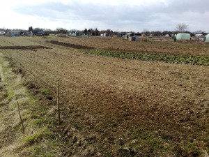 Allotment, Day 1